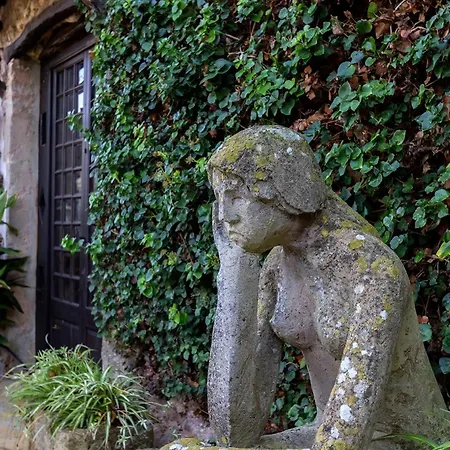 Tolle In Wunderschoener Landschaft Pollenca